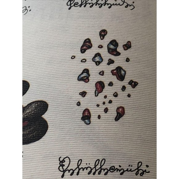 Luigi Serafini Codex Seraphinianus Print 88A - Picture 9 of 10